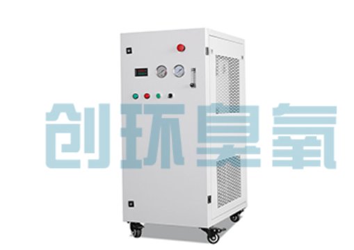 滨州石斑鱼养殖水质调控完整指南：臭氧发生器配置与操作步骤