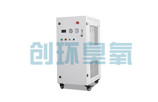 滨州比传统换水更高效？臭氧发生器在石斑鱼养殖中的水质净化原理解析